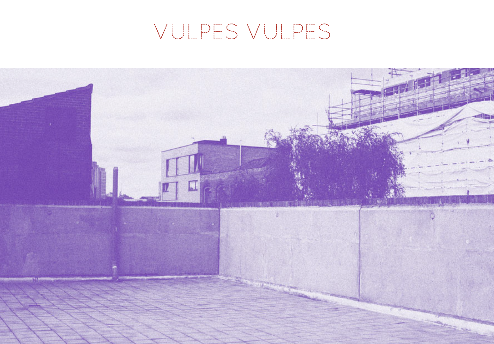 vulpesvulpes
